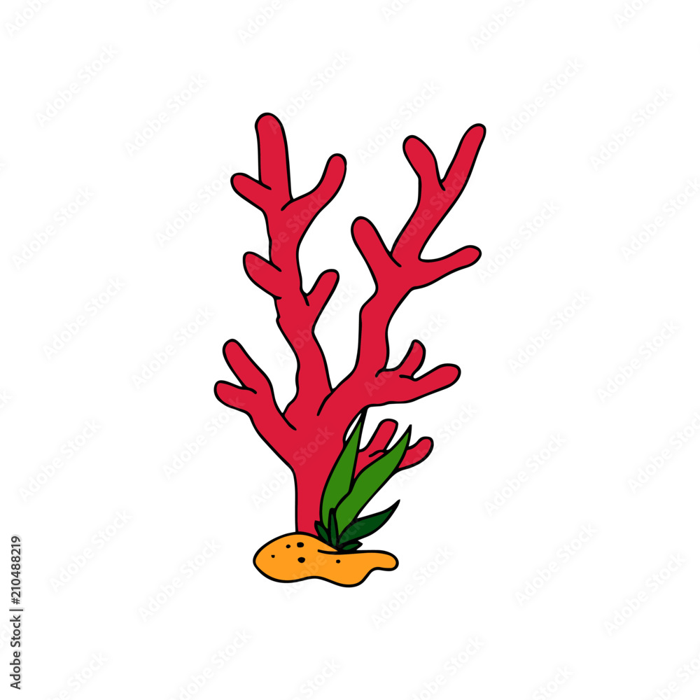 images of cartoon coral