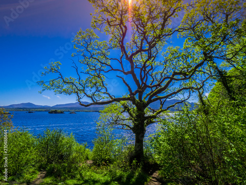 Fototapeta Naklejka Na Ścianę i Meble -  Wonderful Killarney National Park