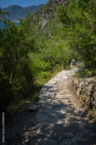 Vertical View of the Path between Corniglia and Vernazza at Summer.
