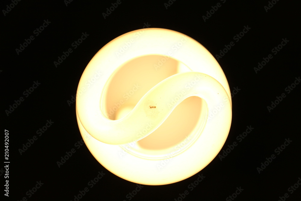 Luz Luz
