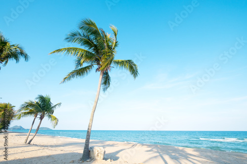Fototapeta Naklejka Na Ścianę i Meble -  Beautiful landscape of coconut palm tree on tropical beach (seascape) in summer. Summer background concept.