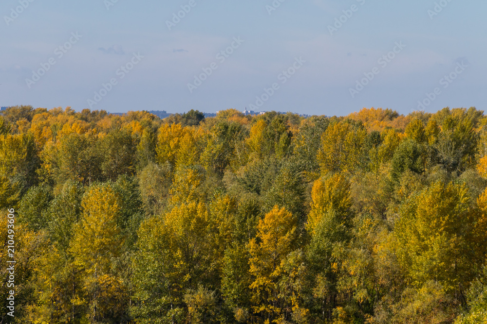 Aerial view of colorful autumn trees
