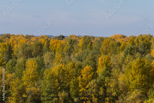 Aerial view of colorful autumn trees