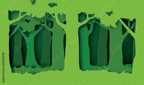forest with trees and grass.