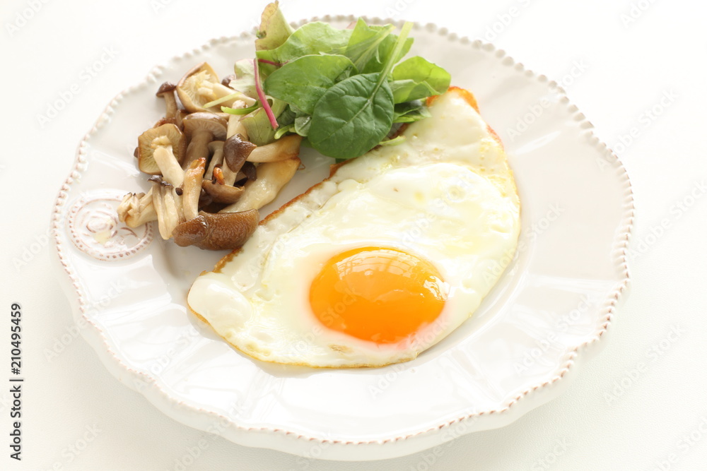 Sunny side up fried egg served with shimeji mushroom sauteed Sunny side up fried egg served with shimeji mushroom sauteed