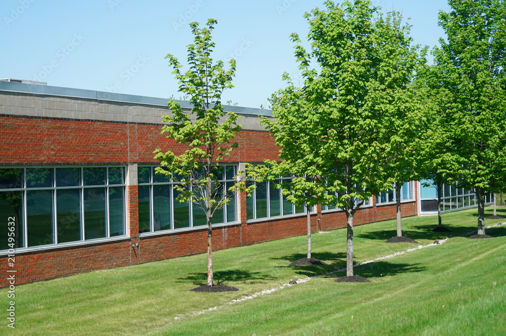 exterior view of office building with green trees in front