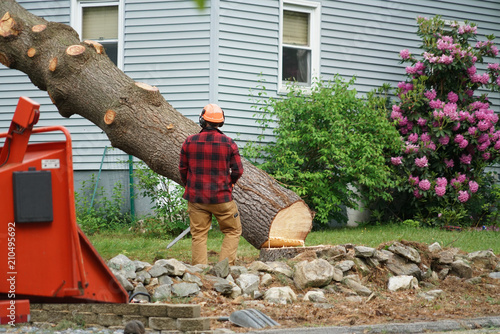 manual worker removing tree in residential area