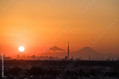 Canvas Print Beautiful Tokyo sunset cityscape ,  Tokyo Skytree landmark and Mountian Fuji in