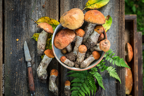 Top view of fresh wild mushrooms on wooden table