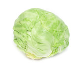 green fresh cabbage head on a white background