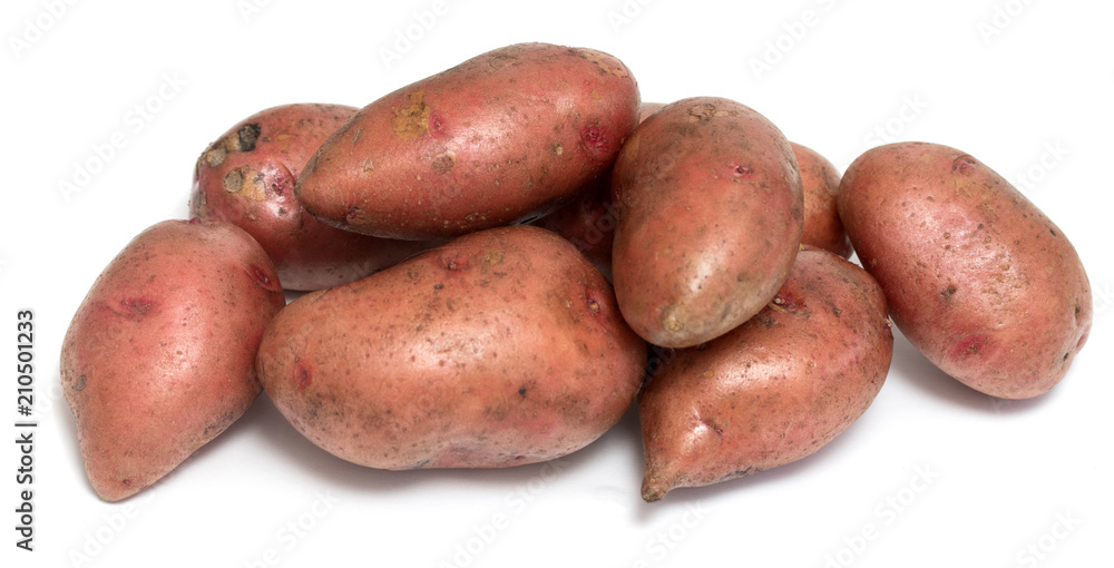 potato tuber on white background potato tuber on white background