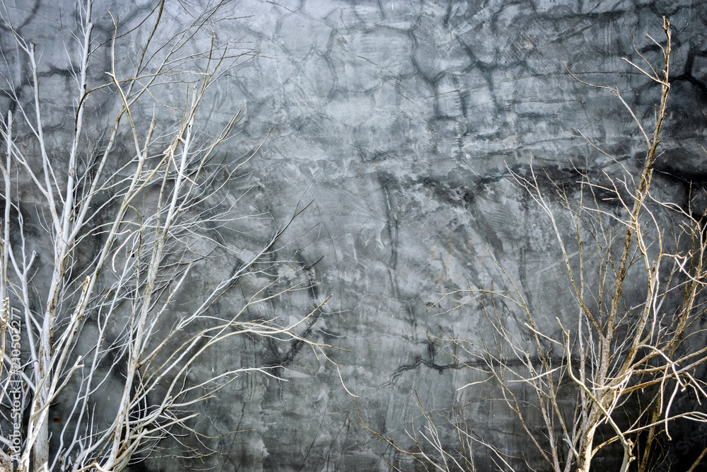 Fototapeta premium branch trees plants and wall gardening textures background