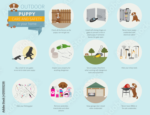 Puppy care and safety in your home. Outdoor. Pet dog training infographic design