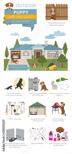 Puppy care and safety in your home. Outdoor. Pet dog training infographic design