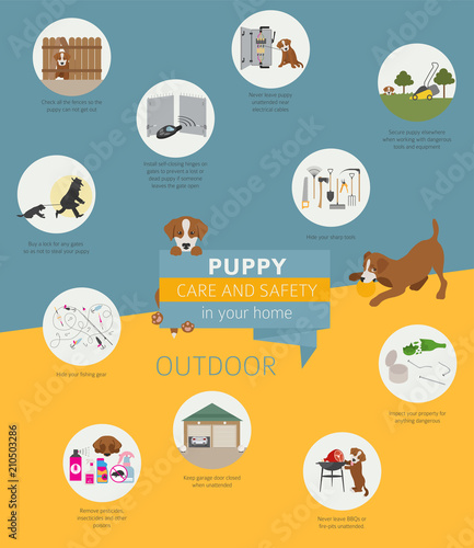 Puppy care and safety in your home. Outdoor. Pet dog training infographic design