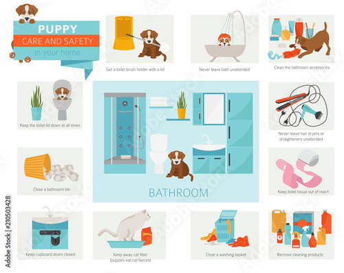 Puppy care and safety in your home. Bathroom. Pet dog training infographic design