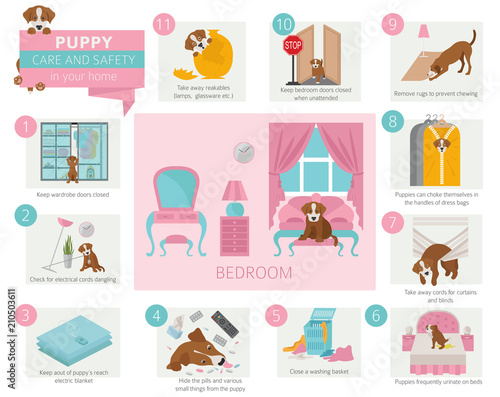 Puppy care and safety in your home. Bedroom. Pet dog training infographic design