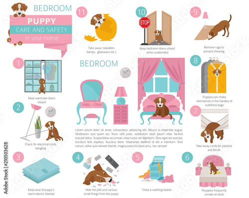 Puppy care and safety in your home. Bedroom. Pet dog training infographic design
