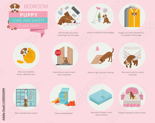 Puppy care and safety in your home. Bedroom. Pet dog training infographic design
