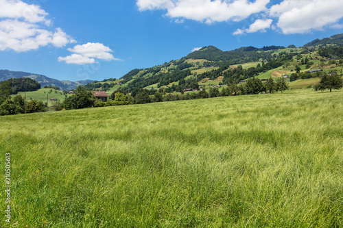 A summertime view in the Swiss canton of Schwyz © photogearch