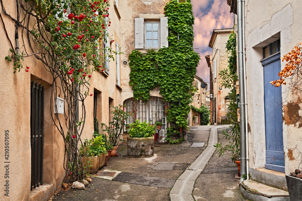 Fototapeta premium Lourmarin, Vaucluse, Prowansja, Francja: starożytna aleja na starym mieście