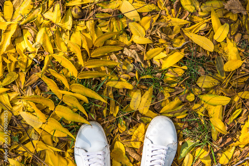 White sneakers on yellow autumn leaves top view