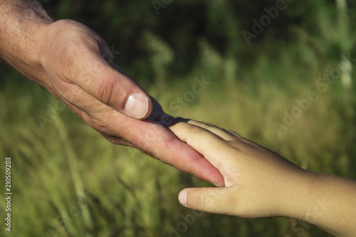 the parent holds the hand of his little child against the background of nature