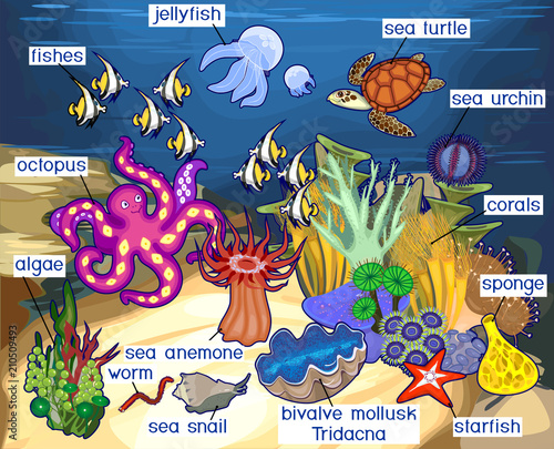 Ecosystem of coral reef with different marine inhabitants with titles
