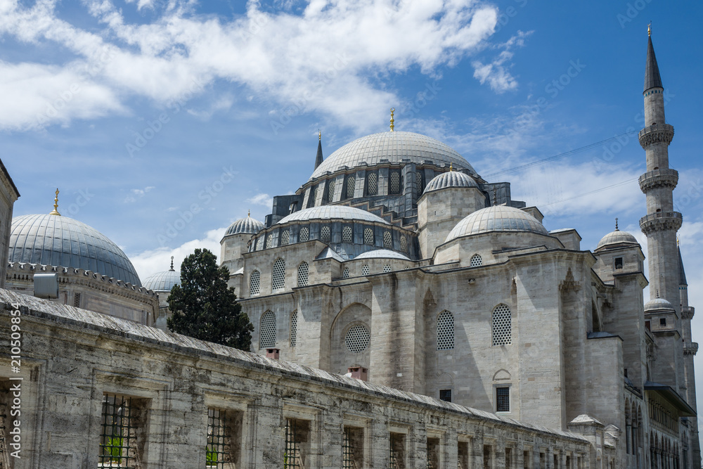 Obraz premium The Fatih Mosque in Istanbul, Turkey.