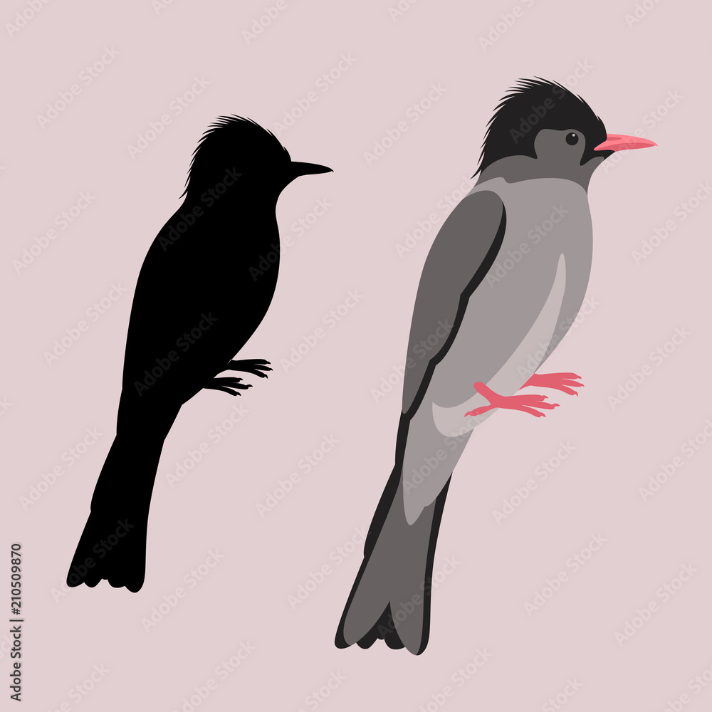 Naklejka premium himalayan black bulbul bird vector illustration flat style black silhouette 