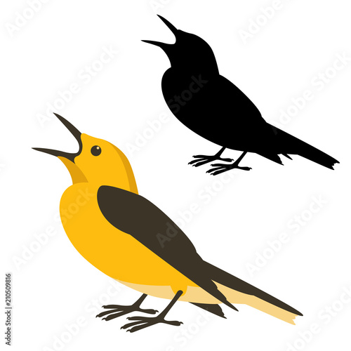 oriole  bird vector illustration flat style black silhouette 
