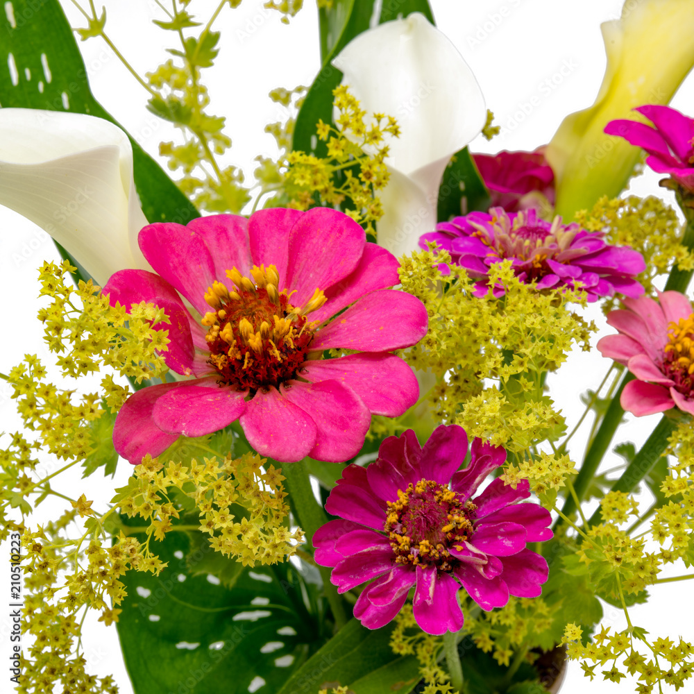 Φωτογραφία Blumenstrauss aus Calla, Zinnie und Frauenmantel freigestellt auf weiß