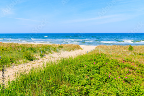Path to beach in Baabe summer resort among sand dunes, Ruegen island, Baltic Sea, Germany © pkazmierczak