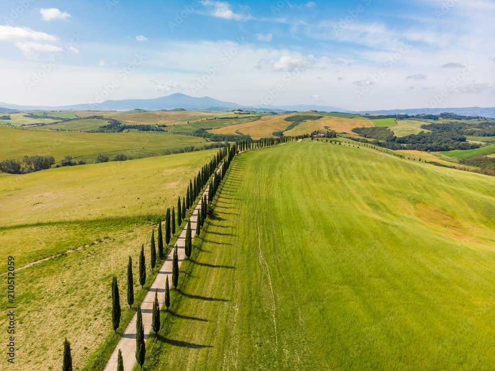 Beautiful landscape scenery of Tuscany in Italy - cypress trees along white road - aerial view -  close to Asciano, Tuscany, Italy