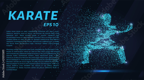 Karate of particles. Karate consists of small circles