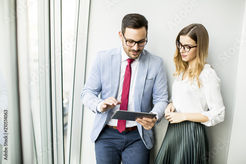 Businessman presenting busi...