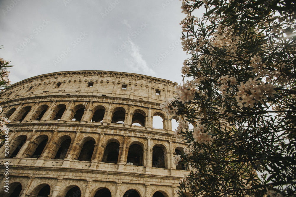 Fototapeta premium Colosseum in Rome, Italy