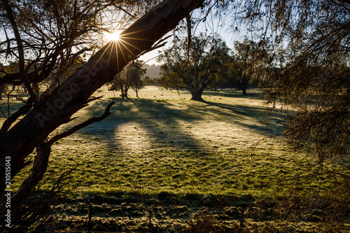 Beautiful sunrise over meadow in Gingin, Western Australia photo