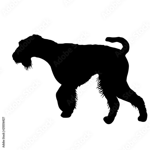 Airedale terrier dog silhouette on a white background