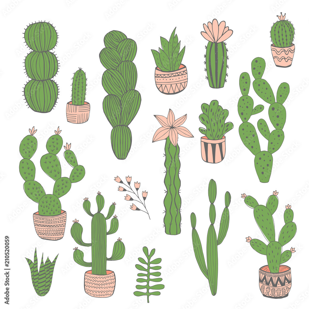 Set of vector hand drawn cactus. Isolated. Cute succulent. Set of vector hand drawn cactus. Isolated. Cute succulent.