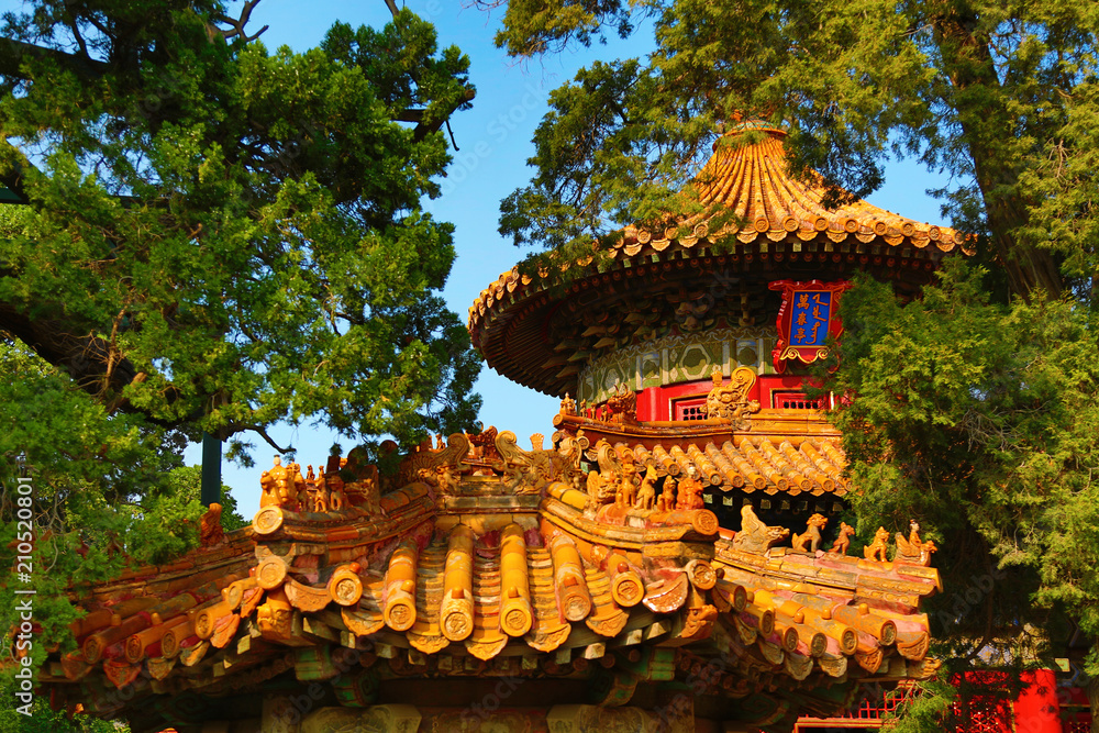 Obraz premium The Forbidden City