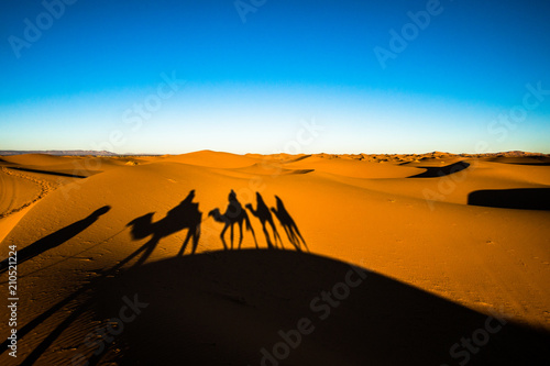 Wide angle shot of people riding camels in caravan over the sand dunes in Sahara desert with camel shadows on a sand