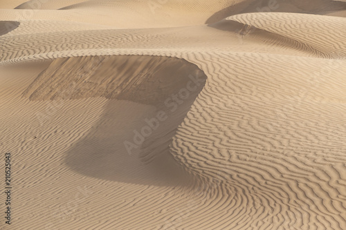 Fototapeta Naklejka Na Ścianę i Meble -  Beautiful sand dune in Thar desert, Jaisalmer, Rajasthan, India.