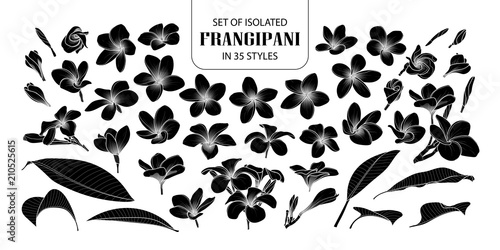 Set of isolated silhouette frangipani in 35 styles.