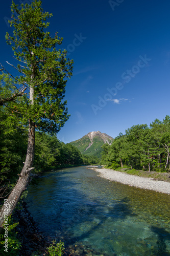 新緑の上高地 梓川と焼岳