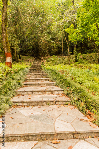 Garden Walkway in natural park outdoor