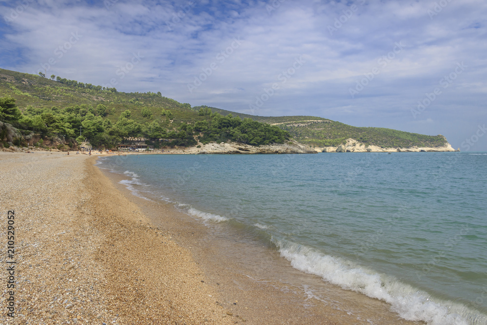 Summertime.Gargano coast: Baia di Campi beach,Vieste-(Apulia) ITALY-The pebbly beach is a picturesque bay sheltered the south by the Campi rock,framed by olive trees and pinewoods. Summertime.Gargano coast: Baia di Campi beach,Vieste-(Apulia) ITALY-The pebbly beach is a picturesque bay sheltered the south by the Campi rock,framed by olive trees and pinewoods.