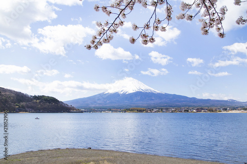 Cherry blossoms and Mt.fuji on the Kawaguchi Lake shore