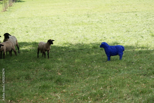 The lamb has approached the figure and marvels at the blue sheep 