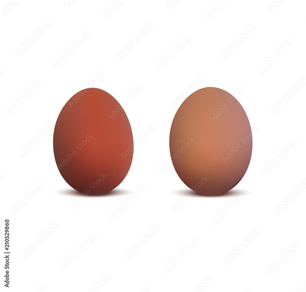 Realistic chicken eggs 